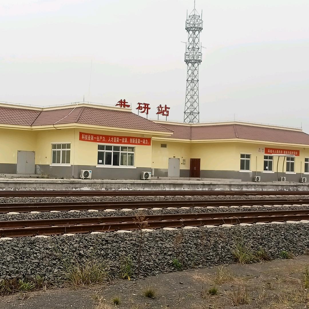 龙哥哥，我爱你，你想我吗