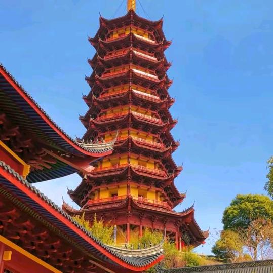 幸福一家人