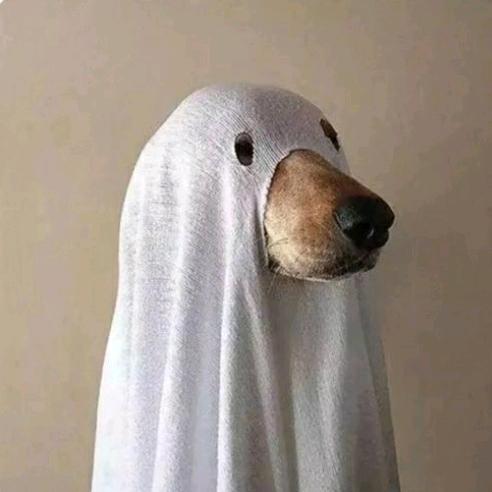 成都天府新区租房 老宋