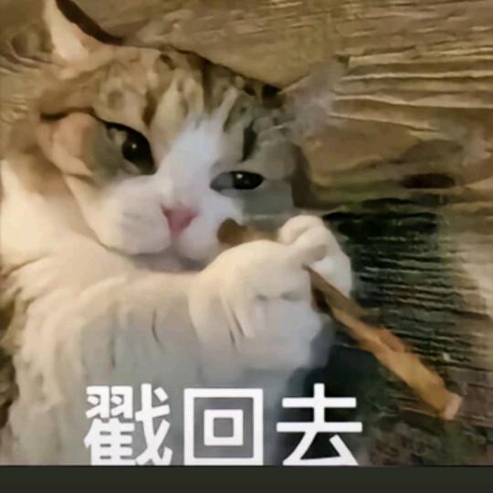 小蕊蕊