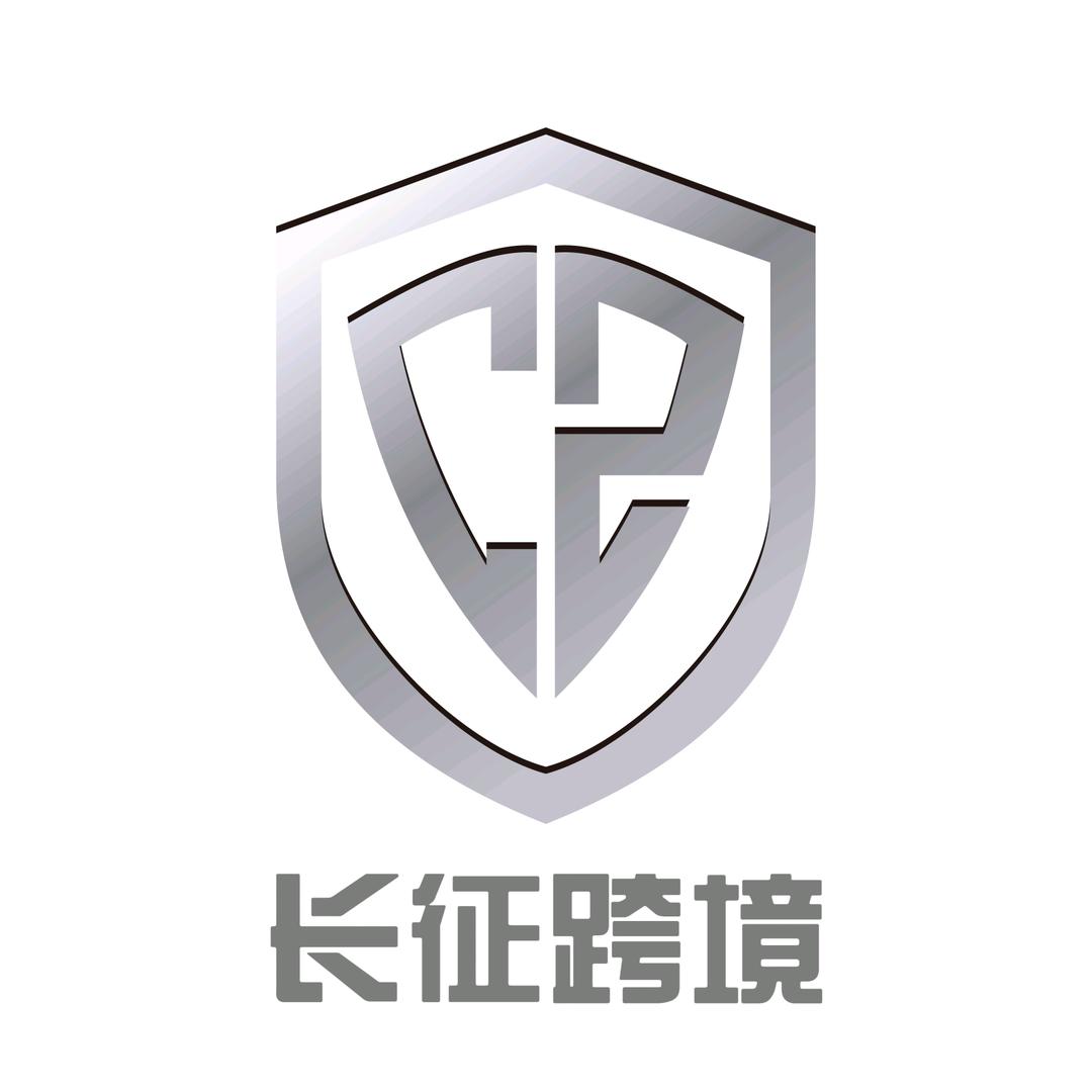 鹰击21