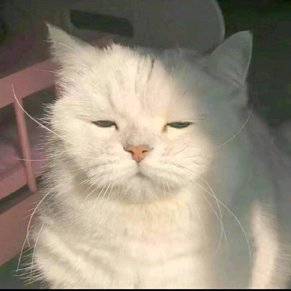 美女的心乱₇₈糟