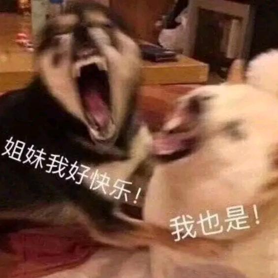 成训带3j来，乖
