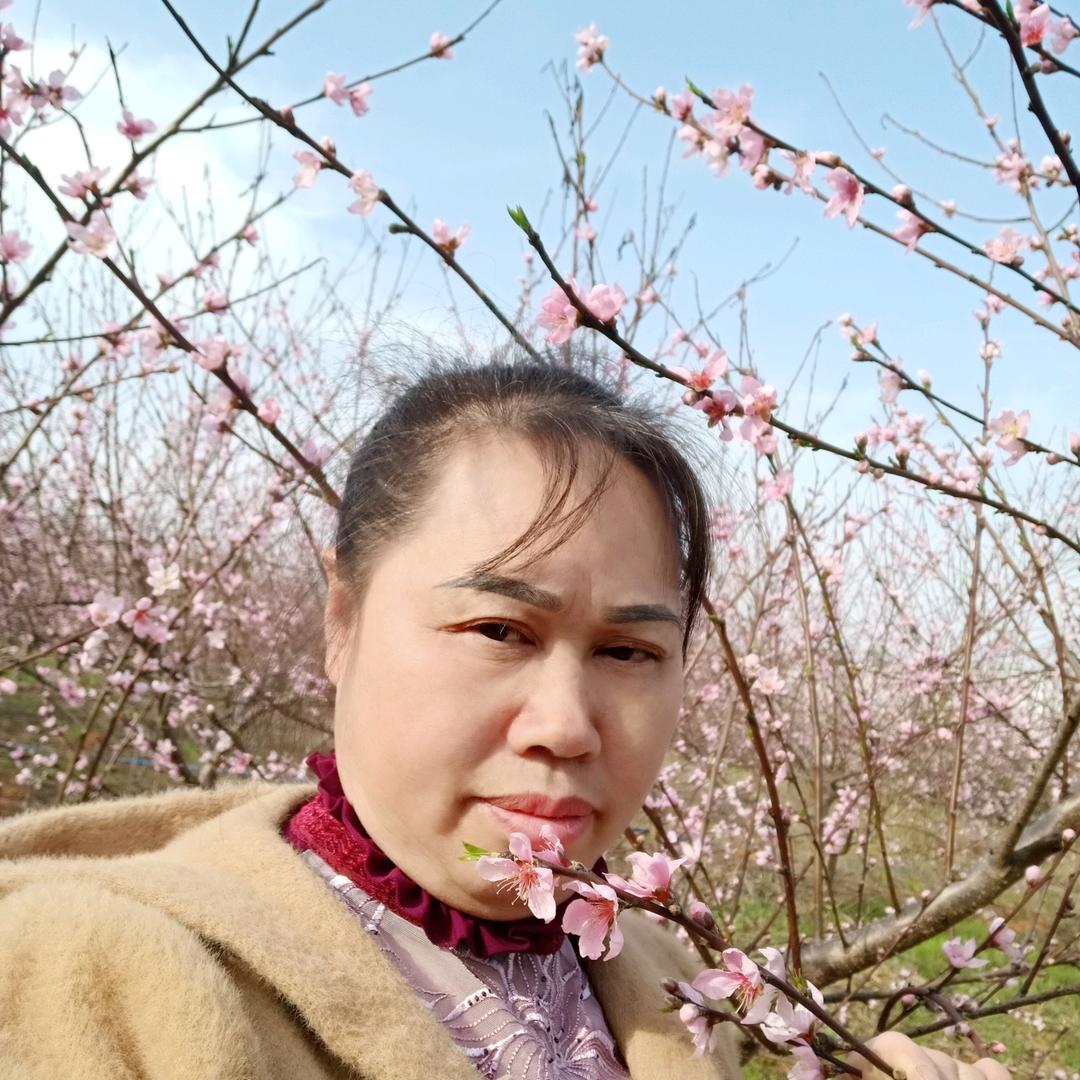 松树风格