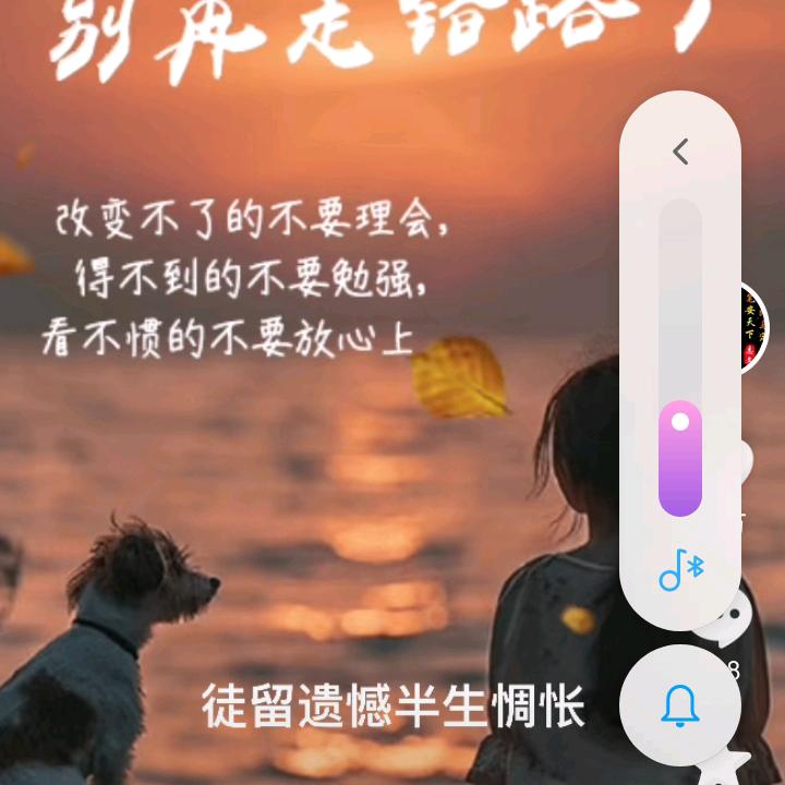 (ง •̀_•́)ง加油⛽枫叶🍁