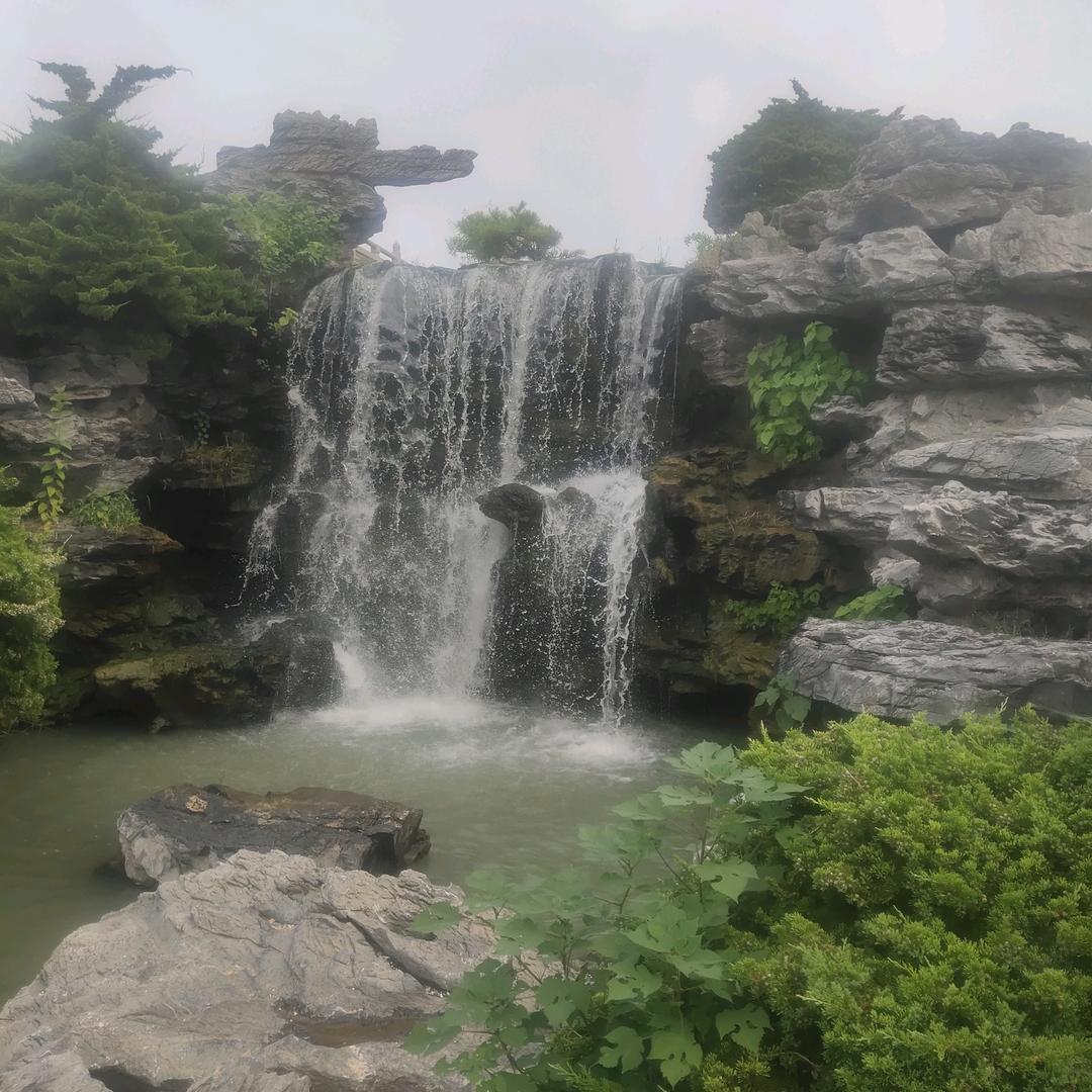 随缘