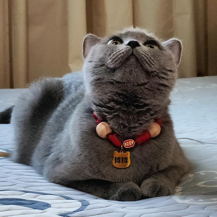 一个小垃圾🚶‍♀️‍➡️