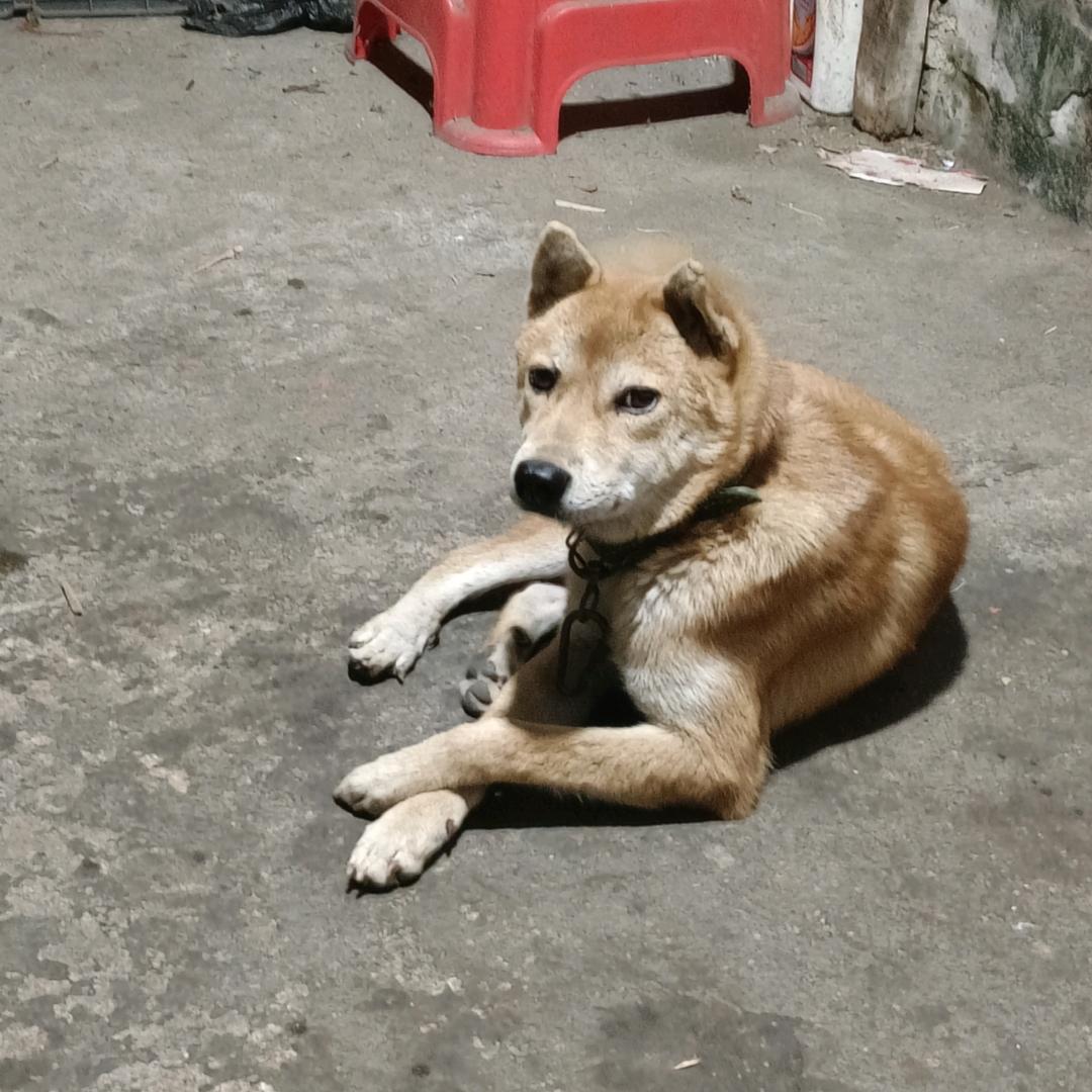 飞鸟与鱼不同路