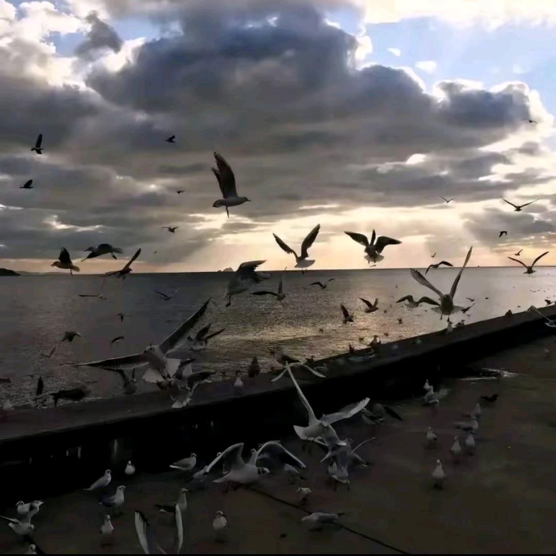 北北数码工作室