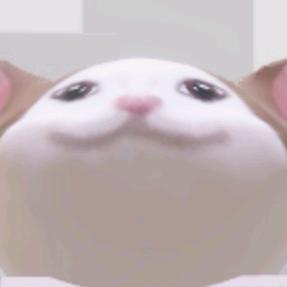 「天真的」pop猫