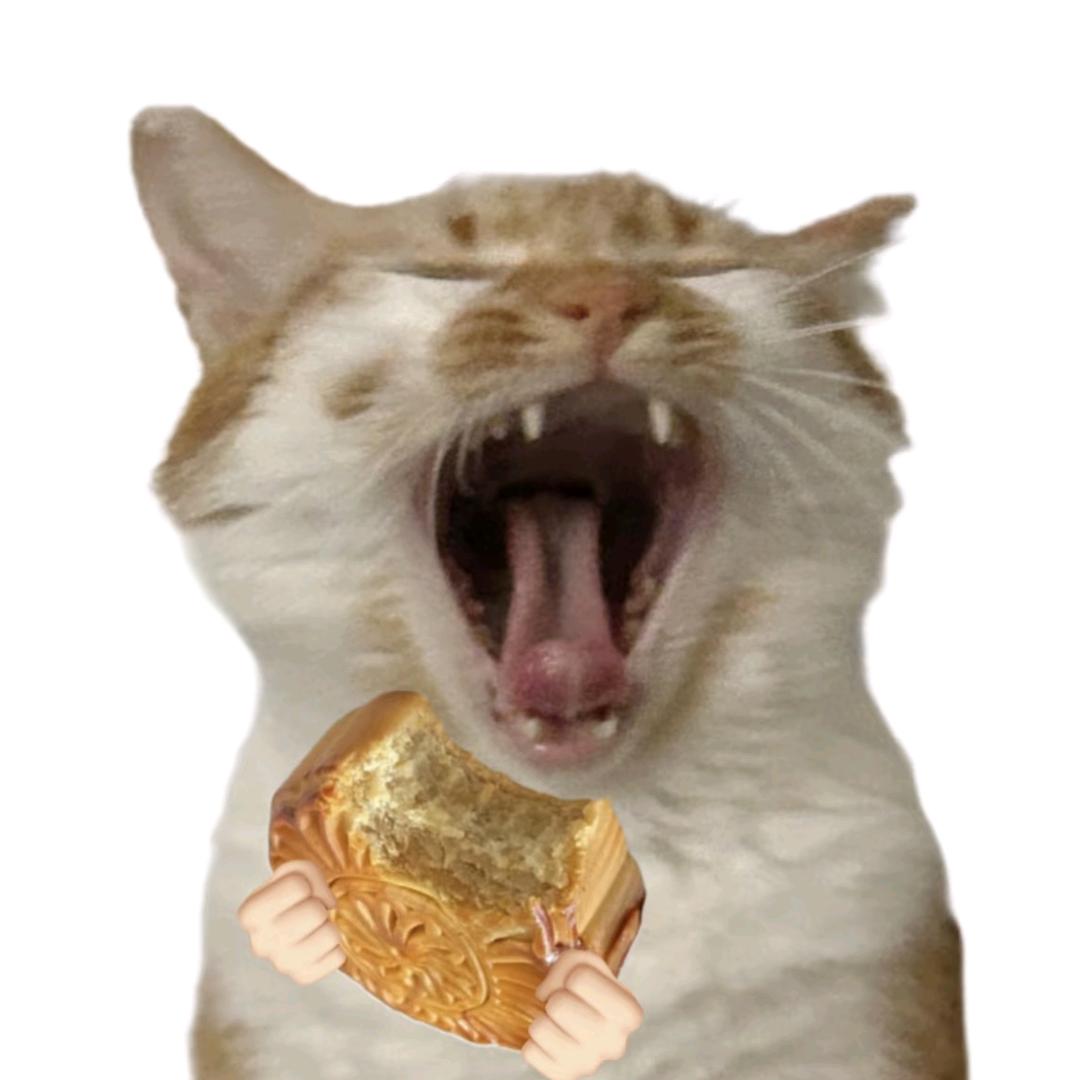 不吃五仁月饼🥮