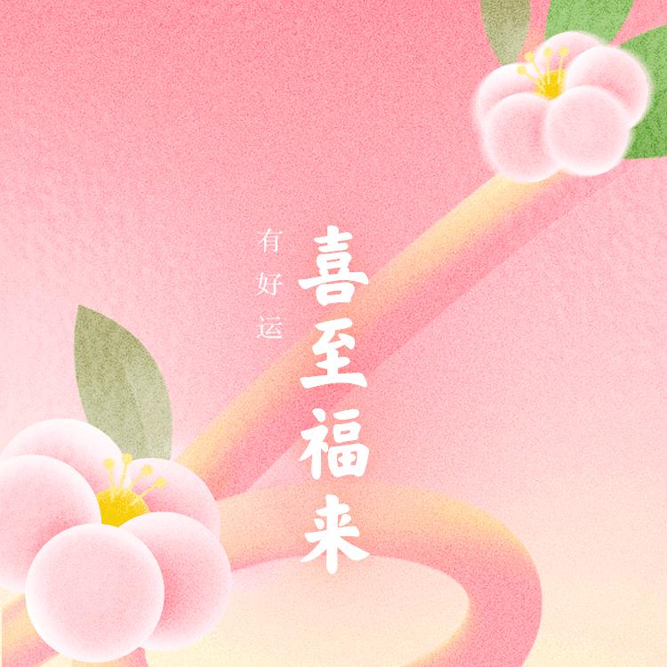 鸿羽