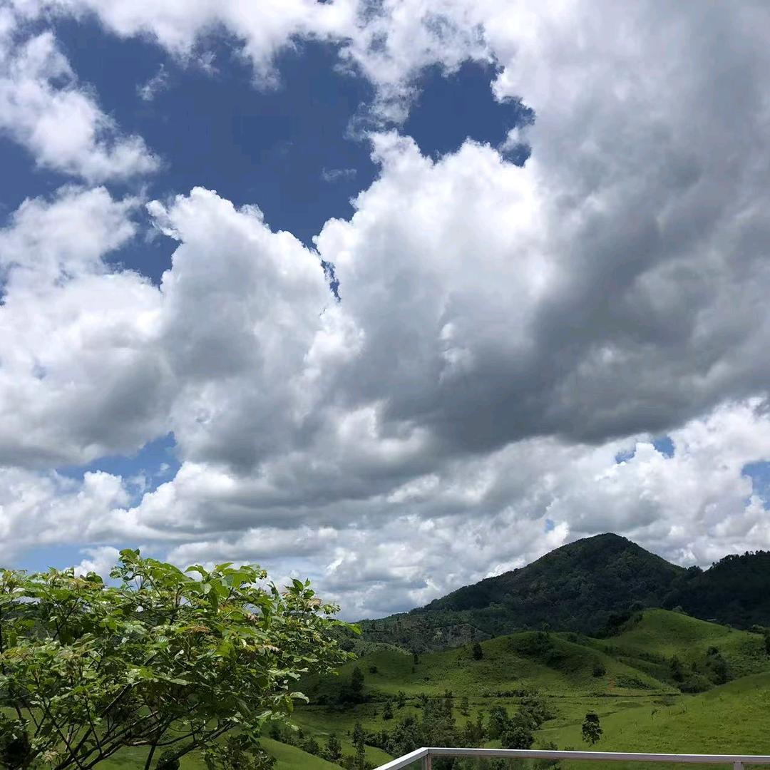 ʘ‿ʘ笑看 👀 风云(◕ˇ∀ˇ◕。)