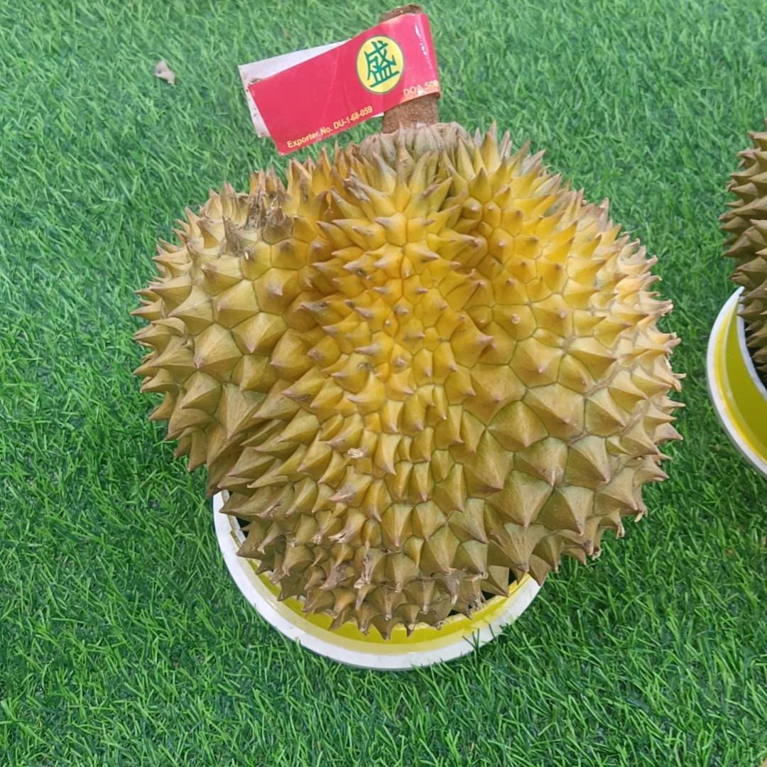 榴莲西施
