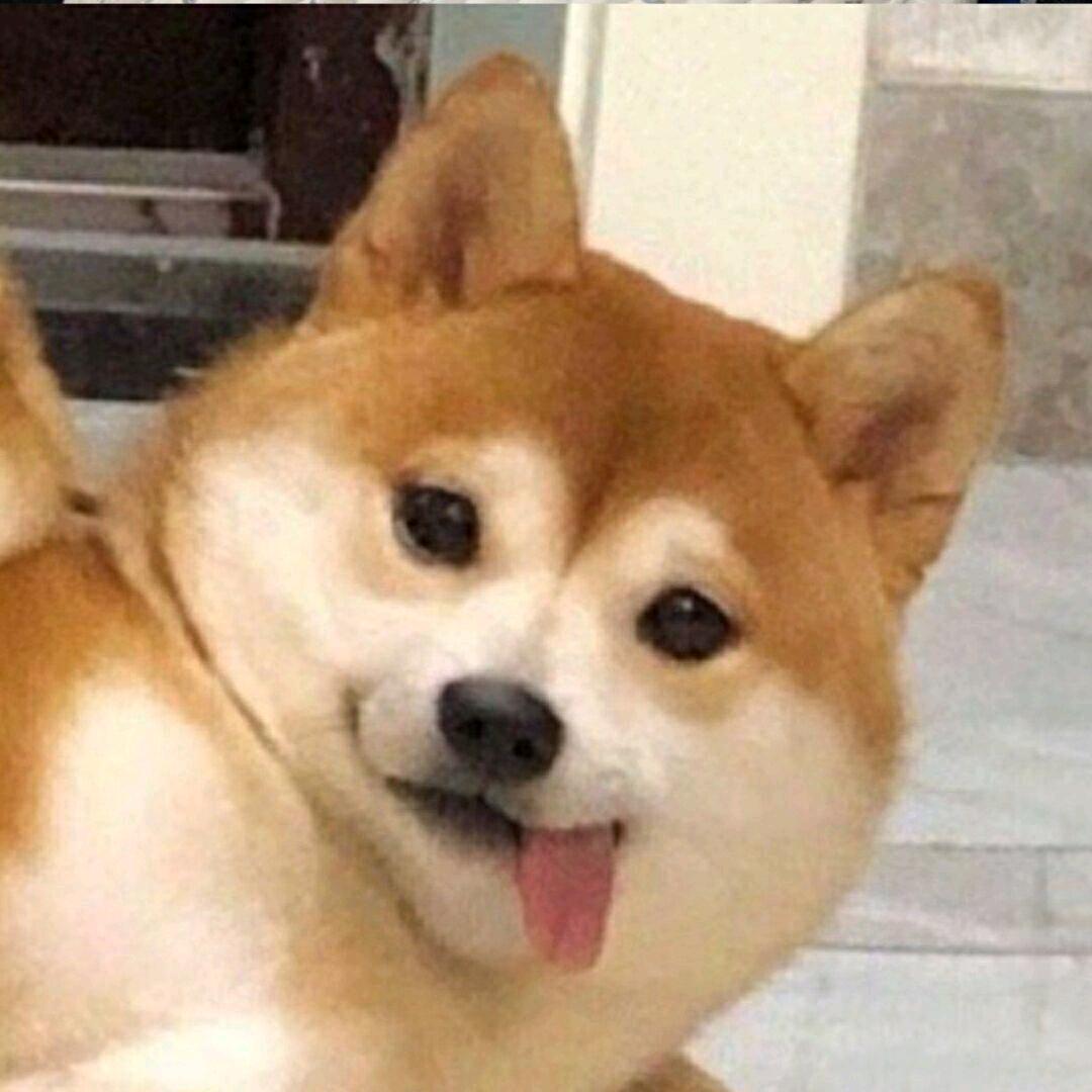 裸格