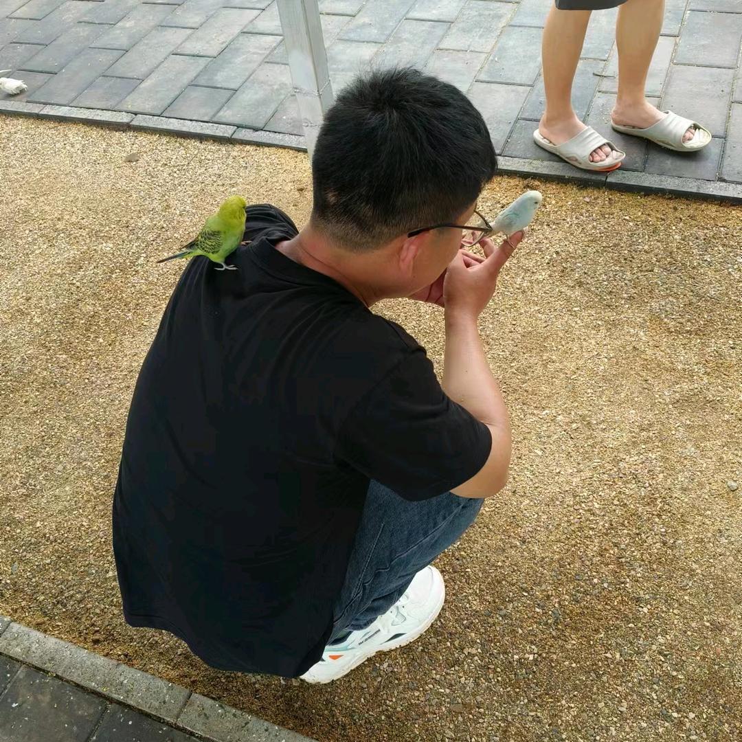 🐎⁰⁹.₂₈彭℘࿐