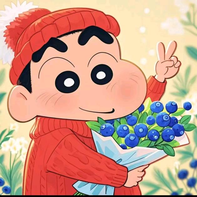 十一c