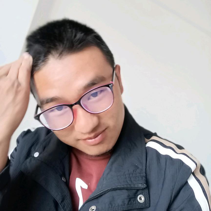 杨董