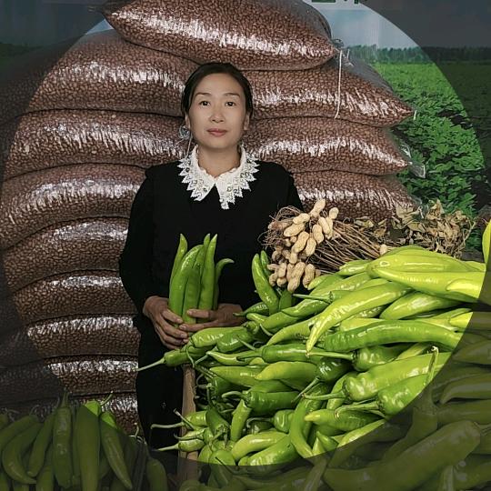 内黄县田间地头农副产品店