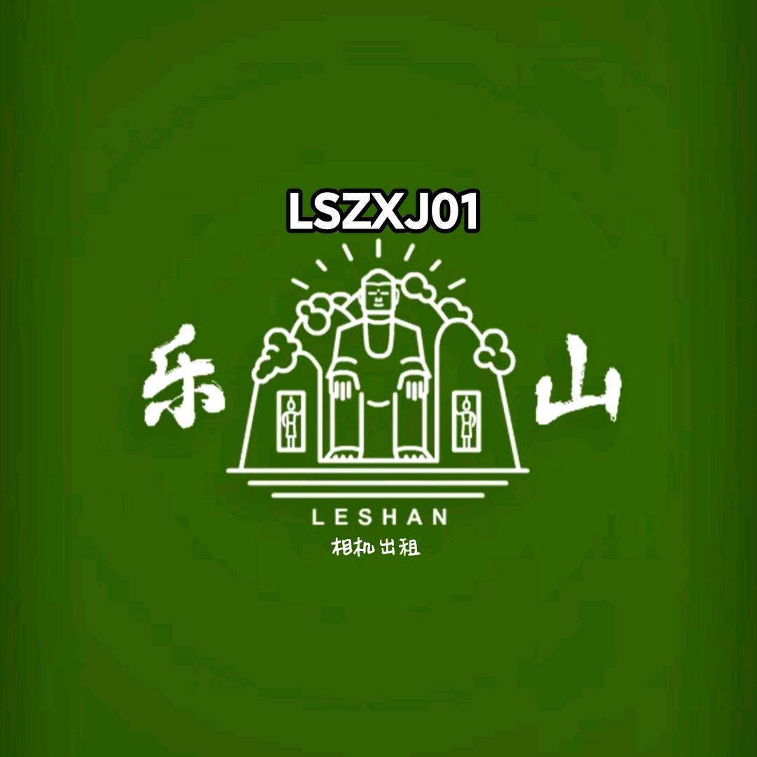 乐山唯一租相机