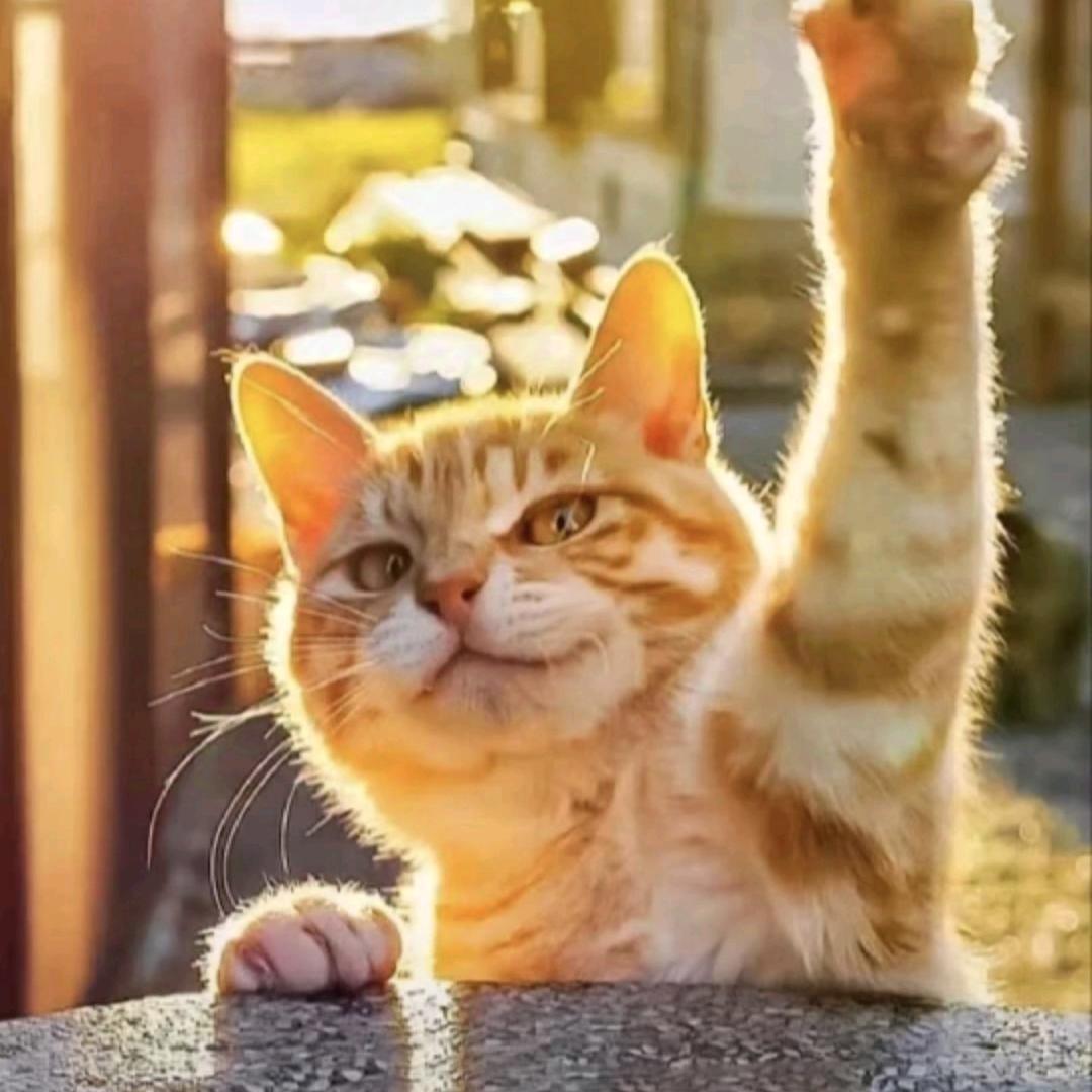 玩mc被当成m结果是s激情互抽