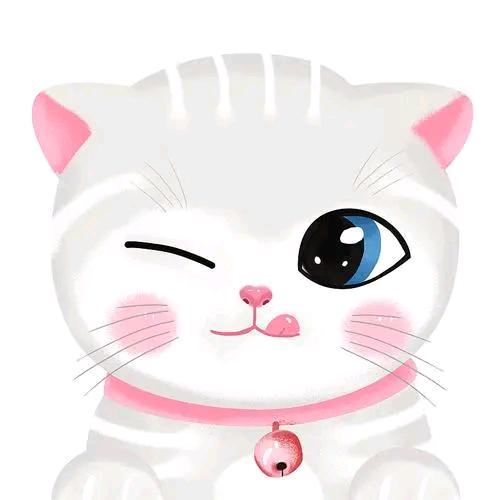 小邓邓