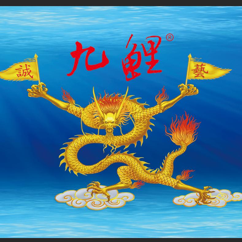 诚艺九鲤®—胡琛