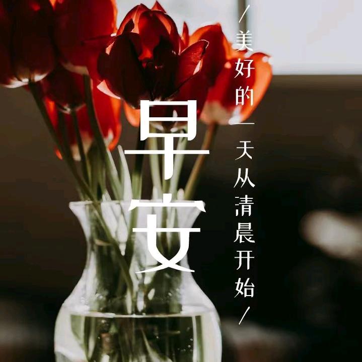 名爵（钻石广场）