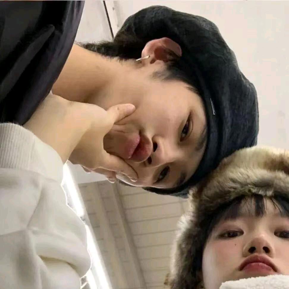 金钱美酒凯子与狗