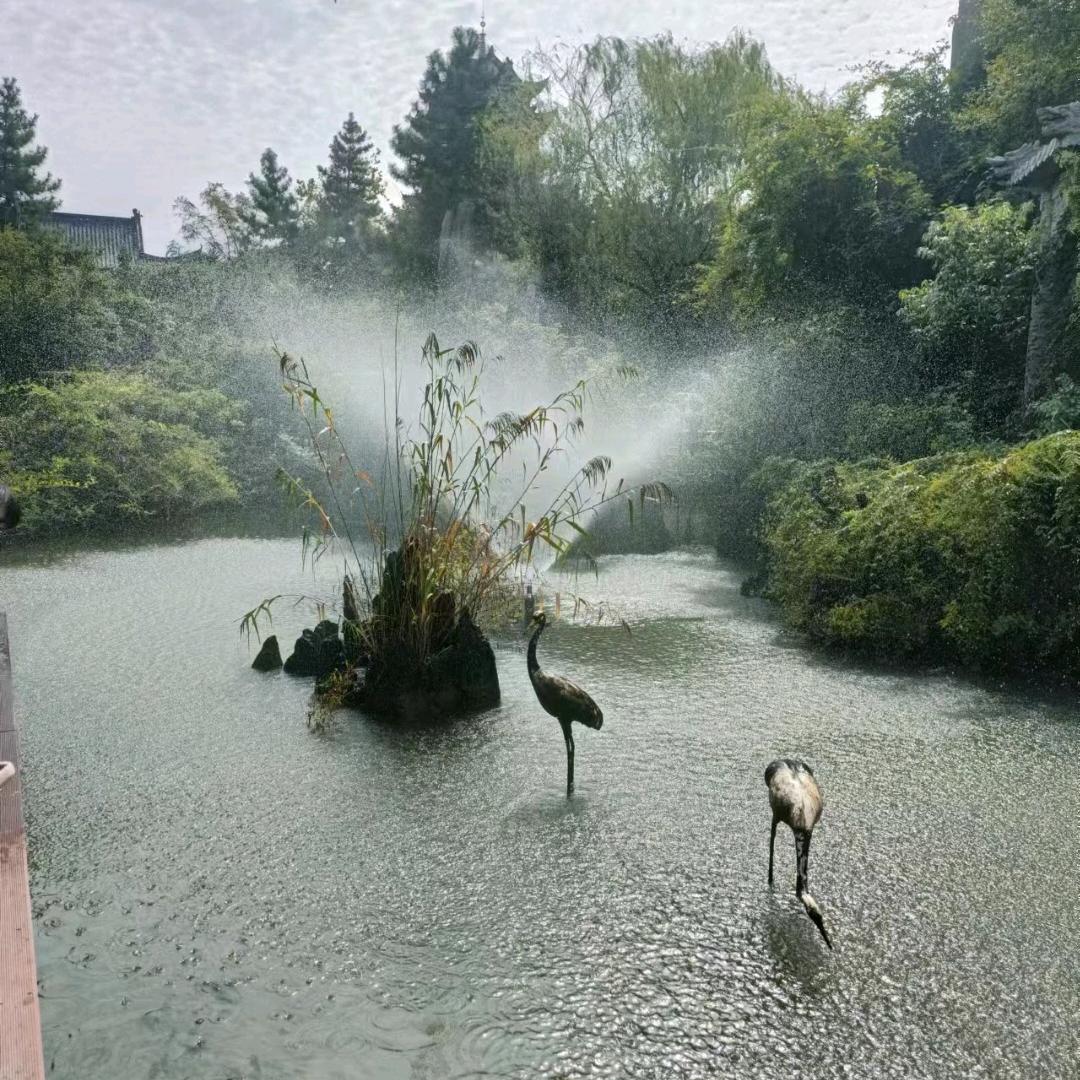 一切随意🌾🌾