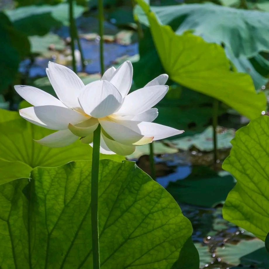 @失意的片刻