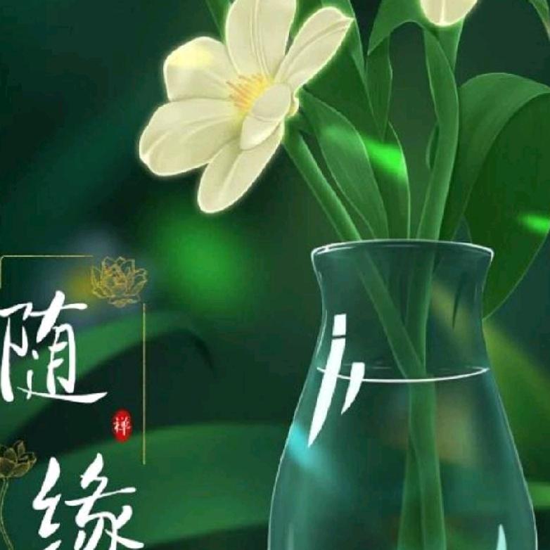 随缘😀