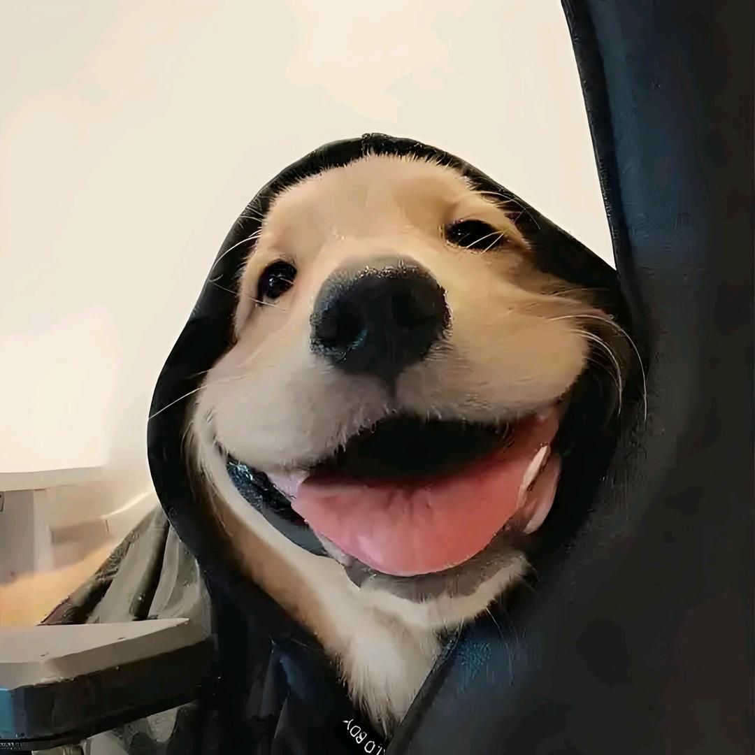 半诗