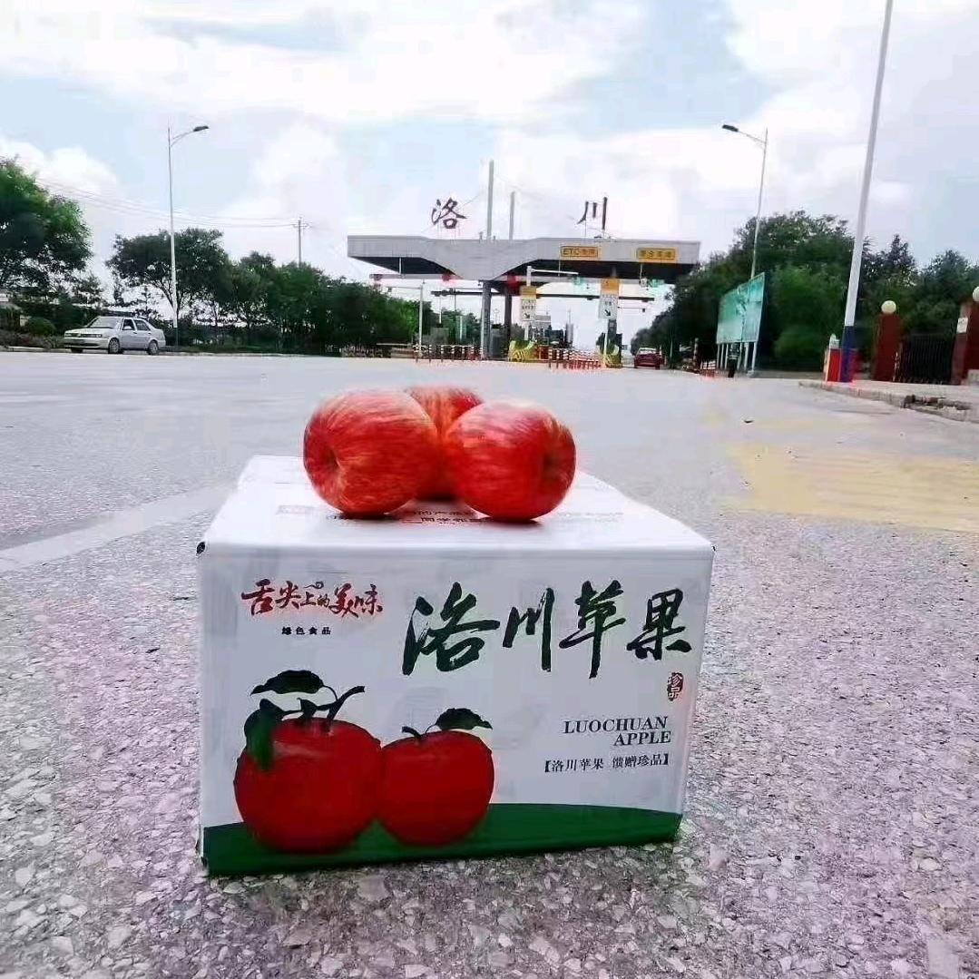 甜万家果业