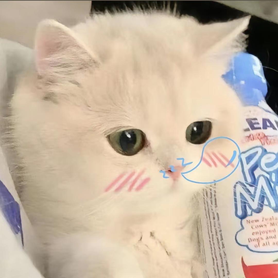 星哥哥
