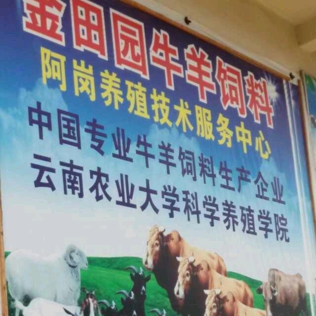牛羊饲料，猪饲料批发