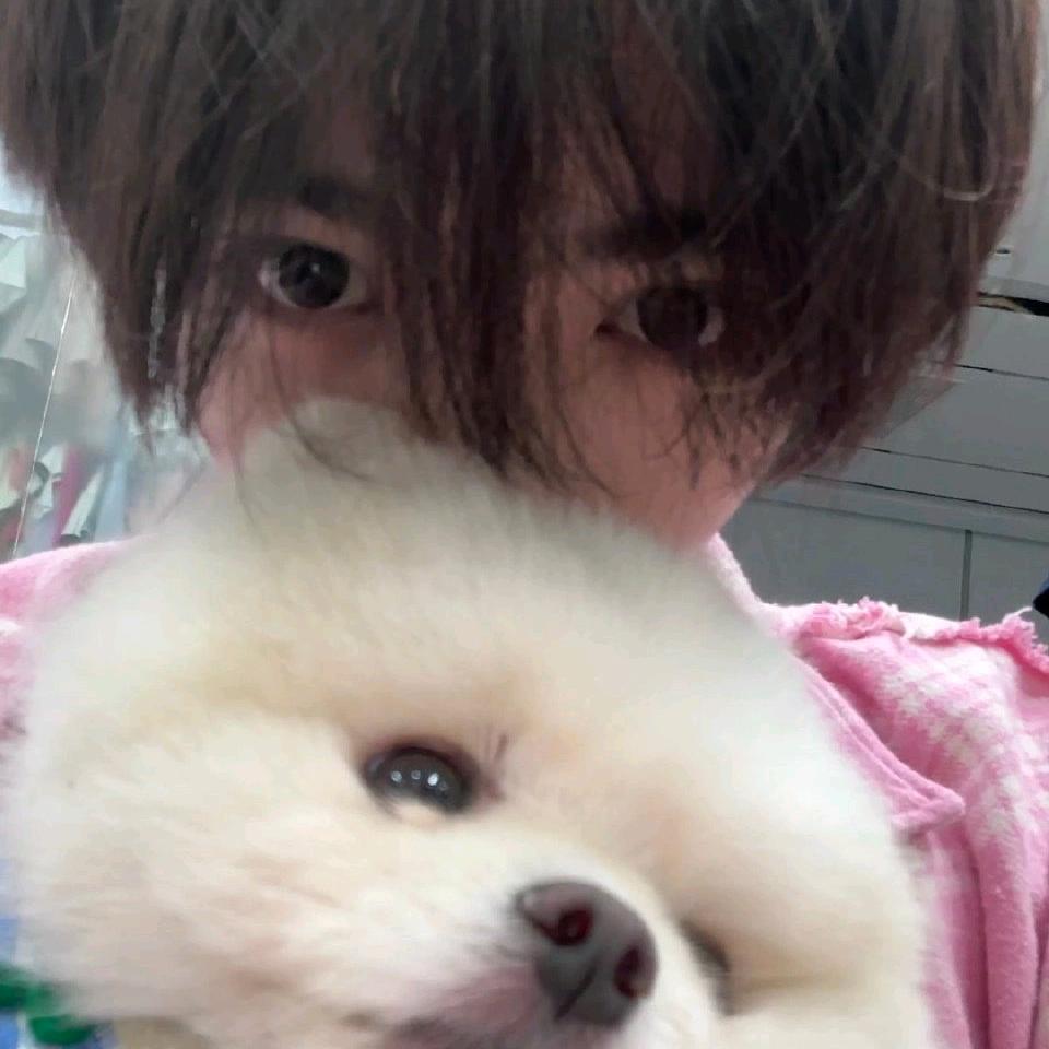 我的输入法有病啊