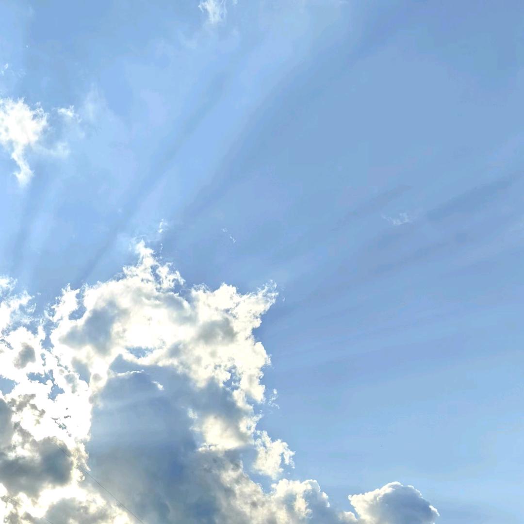 缘起色空