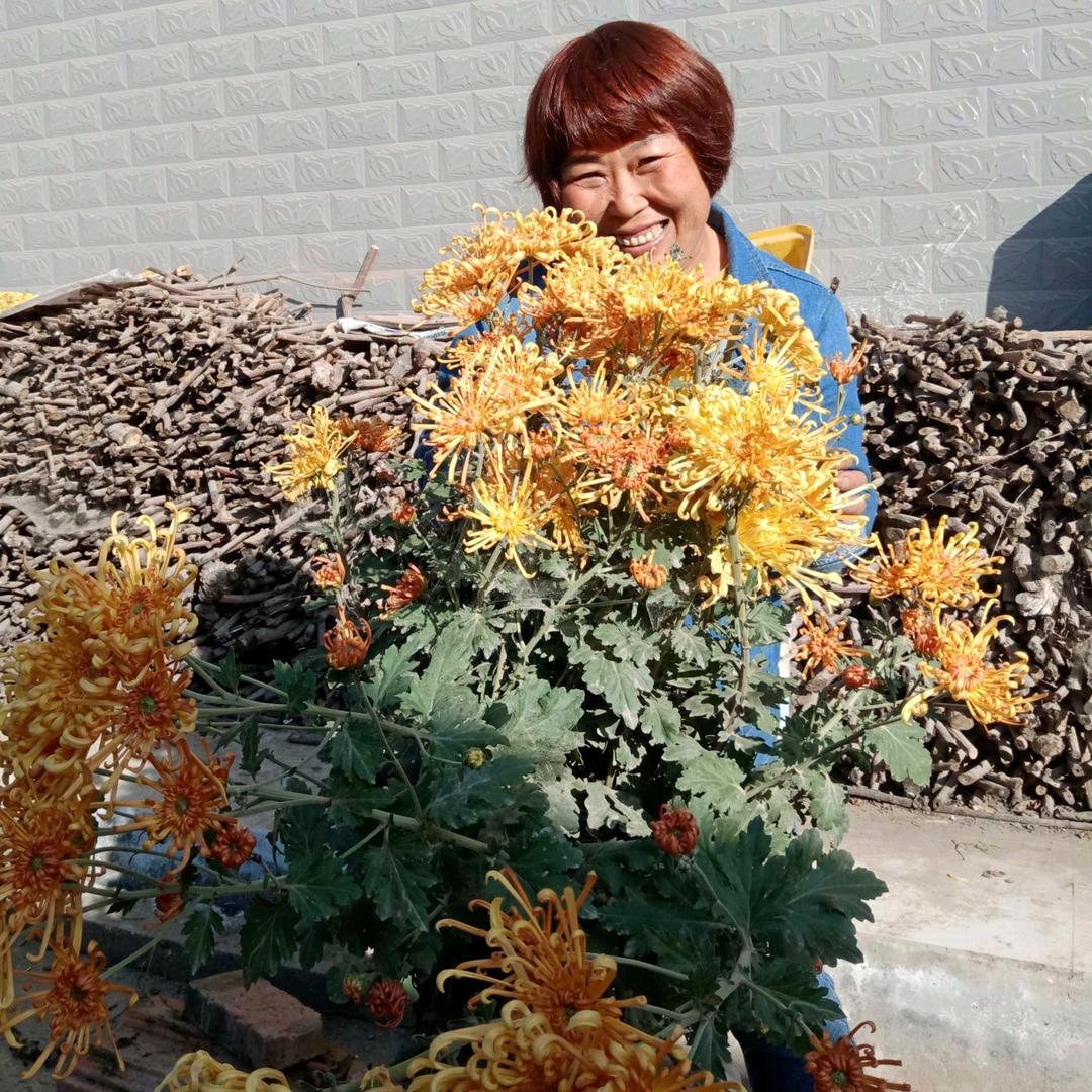 “你若盛开，清风自来”拒绝连赞