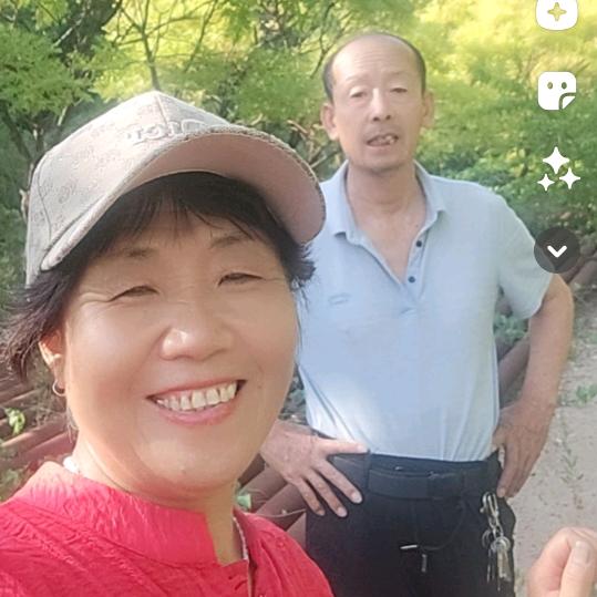 豆腐世家
