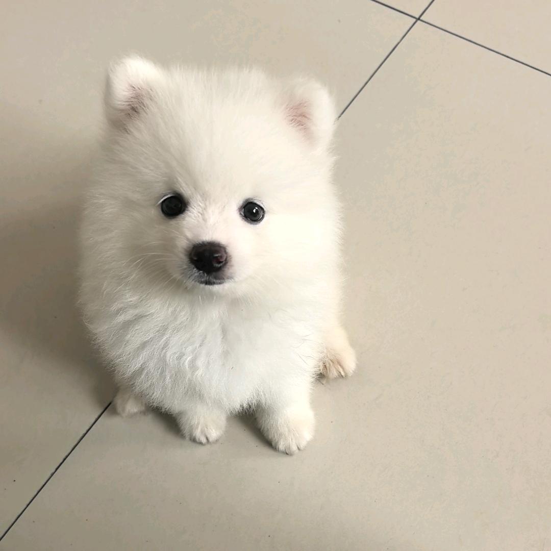 小涵🎈¹⁹¹⁵