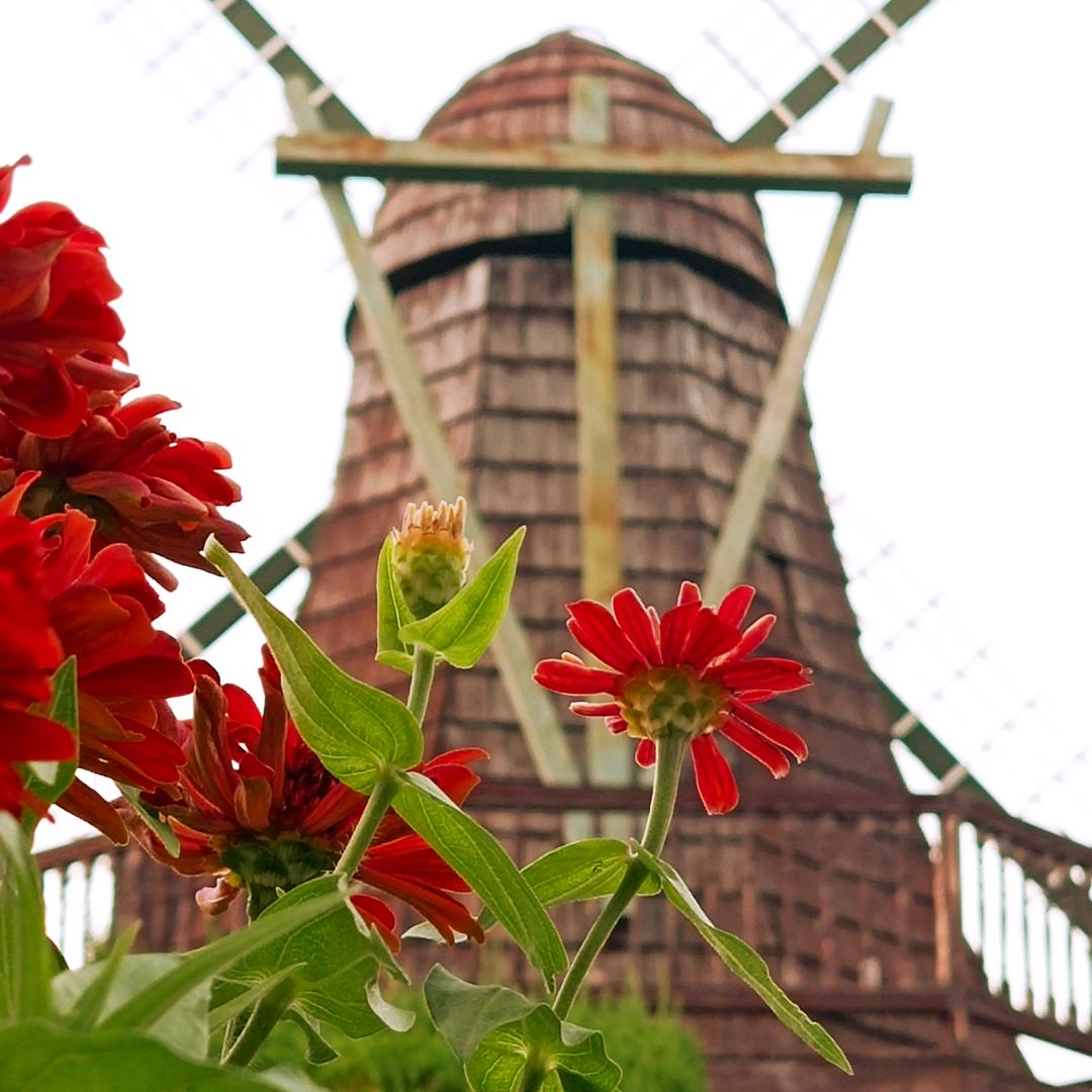 心悦🈶1️⃣说1️⃣