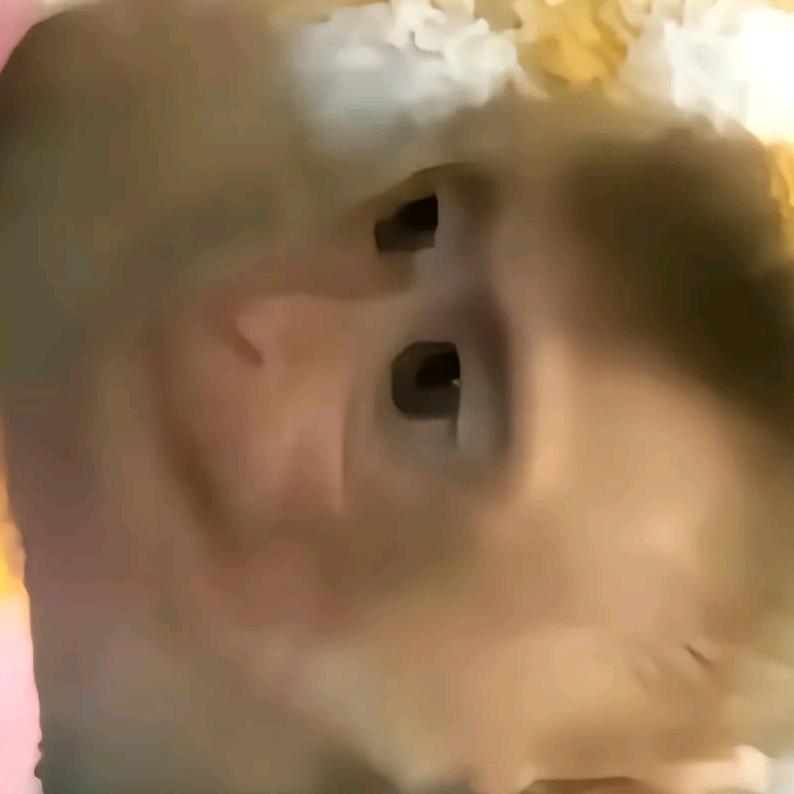 1点点.