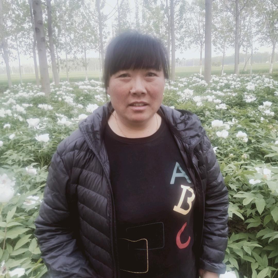 农村刘姐下午16:20
