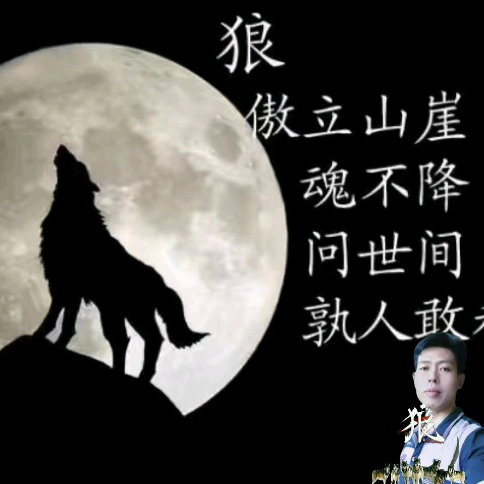 狼