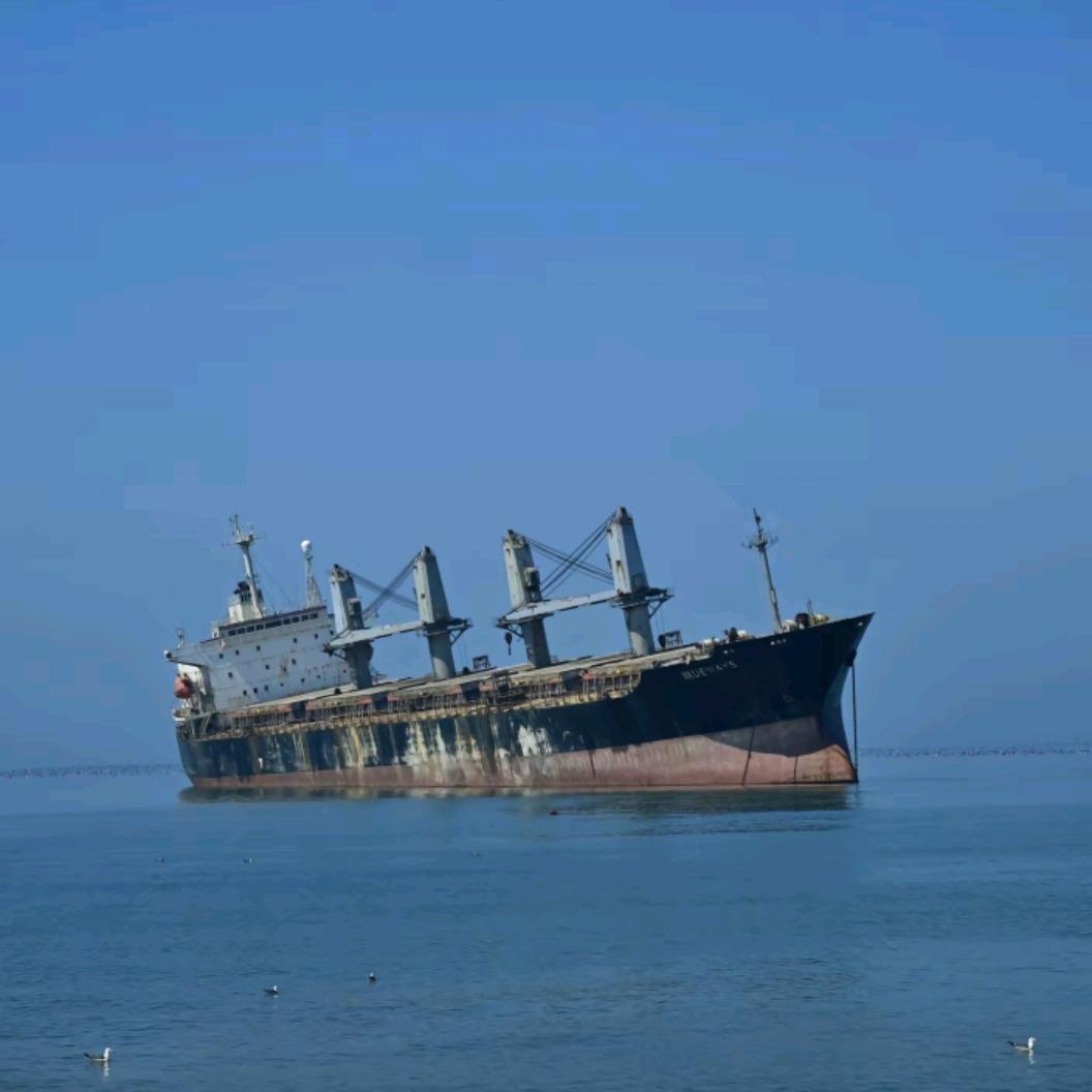 与我同在