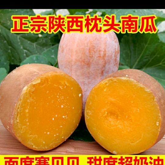 南瓜批发