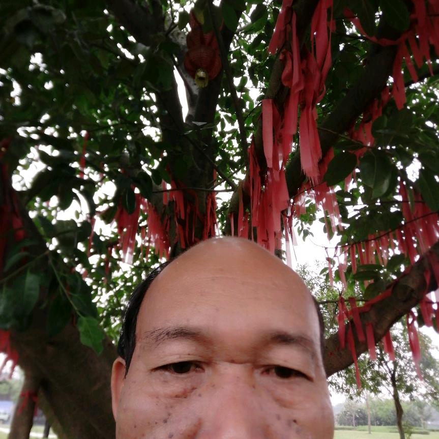 遇见遇爱四季平安