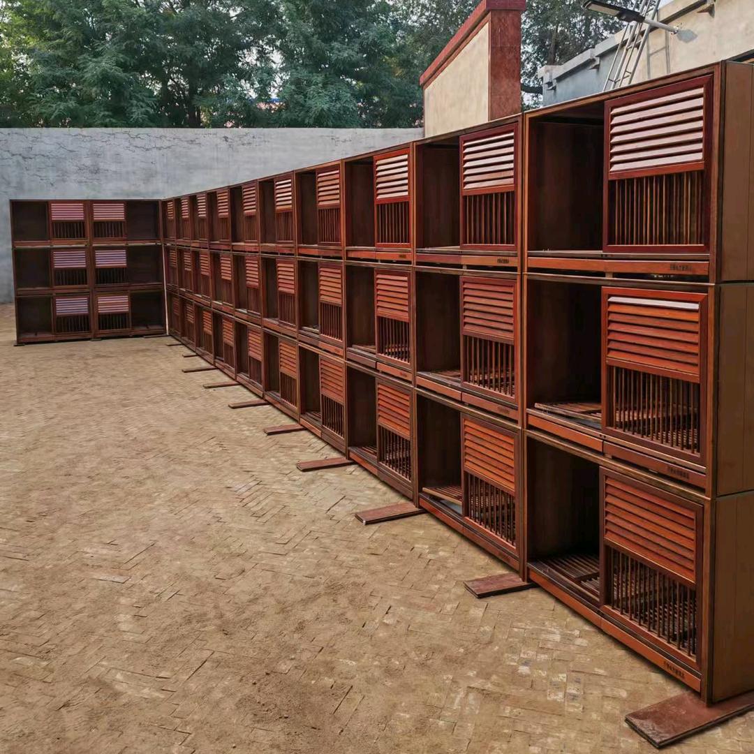 开创竹板鸽具