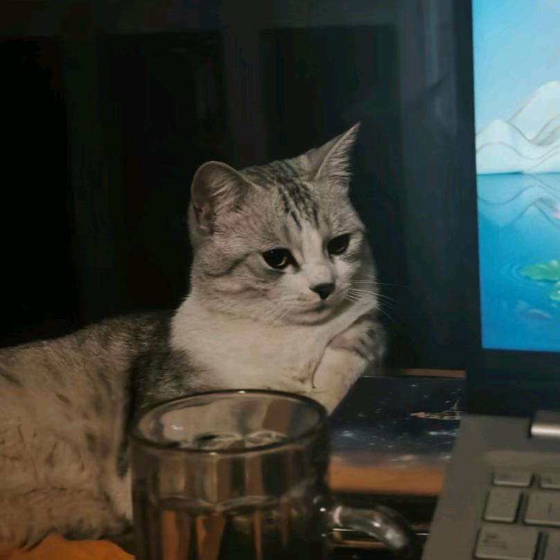 屋头有个败家婆娘